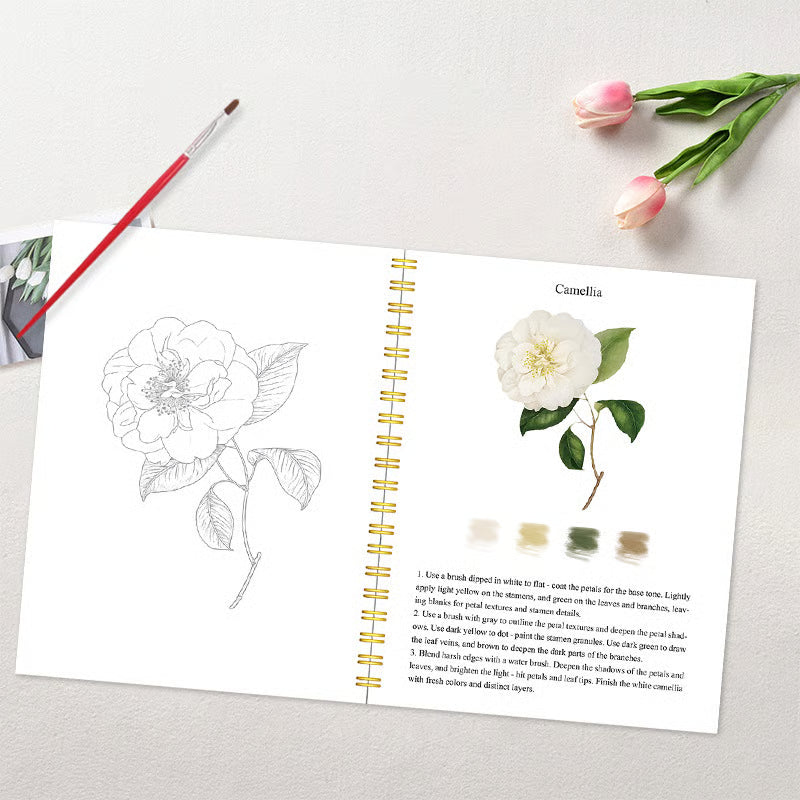 Complete Watercolor Book Set - FREE Watercolors and Brushes Included