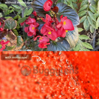 The DigiScope™